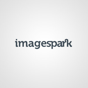 ImageSpark