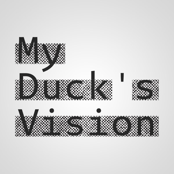 My Ducks Vision