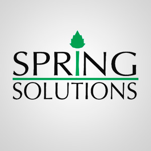 Подробная информация о компании Spring Solutions
