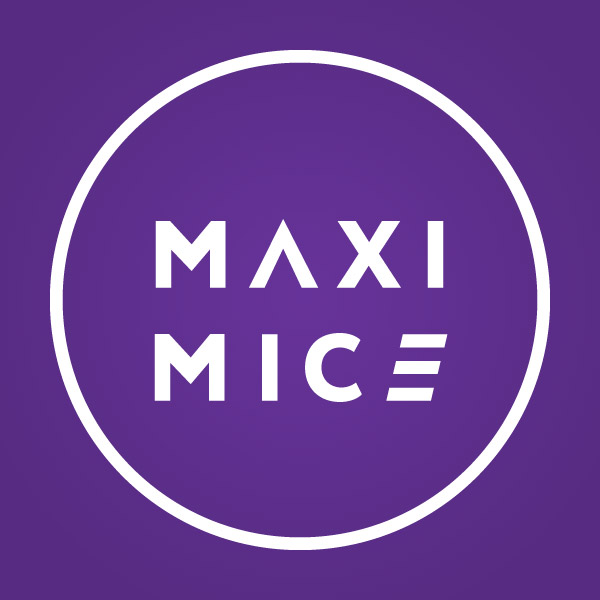 Подробная информация о компании MAXIMICE