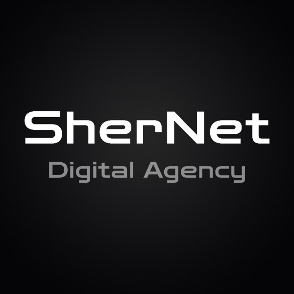 Подробная информация о компании SherNet
