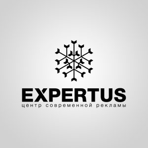 Подробная информация о компании EXPERTUS