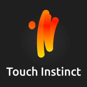 Подробная информация о компании Touch Instinct