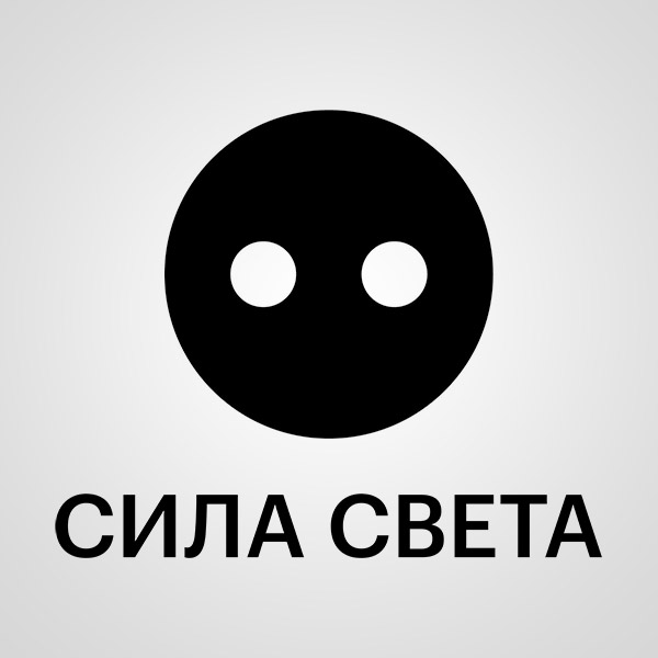 Подробная информация о компании Sila Sveta