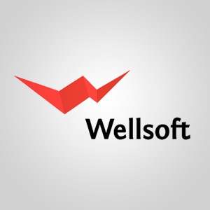 Подробная информация о компании Wellsoft