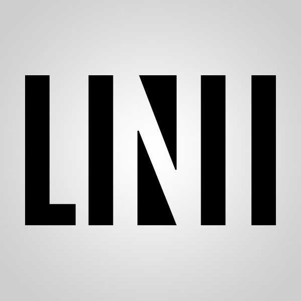 Подробная информация о компании LINII Group