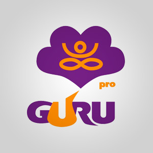 Подробная информация о компании GURU Pro