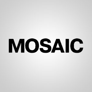 Подробная информация о компании Mosaic