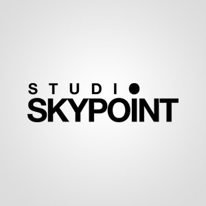 Подробная информация о компании SkyPoint Studio