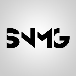 Подробная информация о компании SNMG