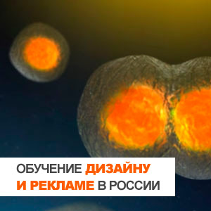 ��� ������� �������? ���������� ����� ������� � �������