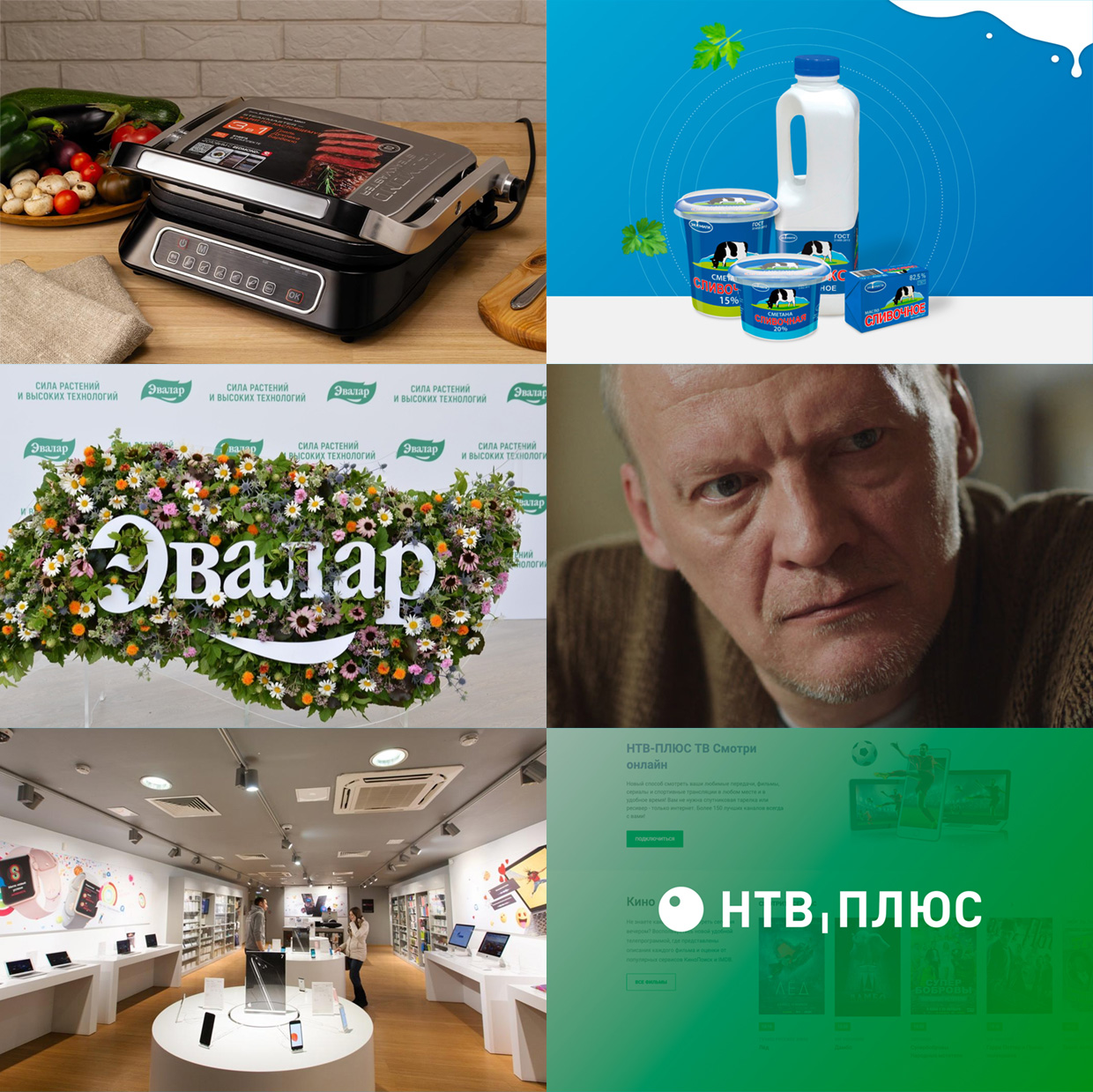 Realweb, �����-���������