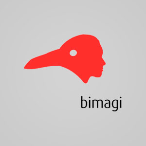 Подробная информация о компании Bimagi