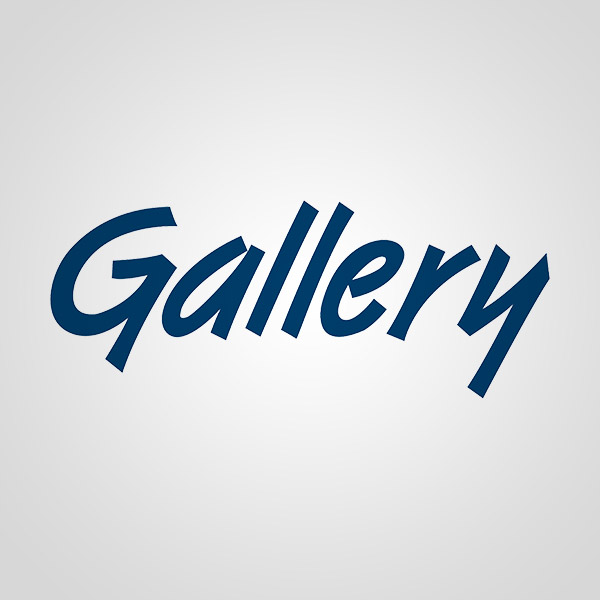Подробная информация о компании Gallery