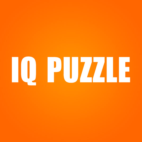 Подробная информация о компании IQ Puzzle