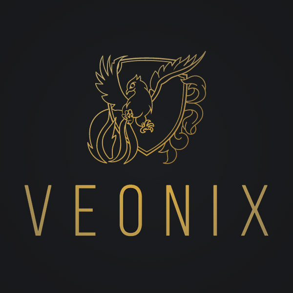 Подробная информация о компании Veonix
