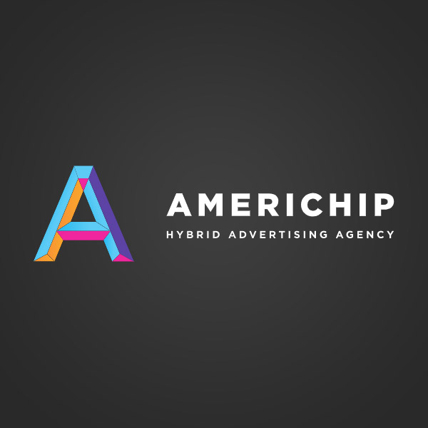 Подробная информация о компании Americhip