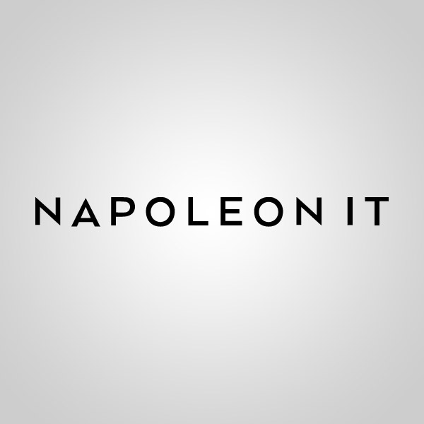 Подробная информация о компании Napoleon IT