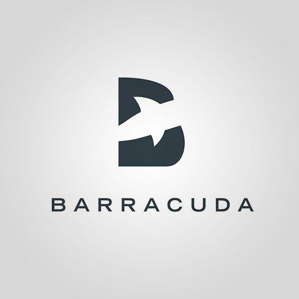 Подробная информация о компании Barracuda