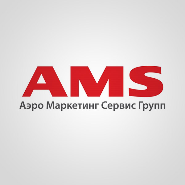 Подробная информация о компании AMS Group