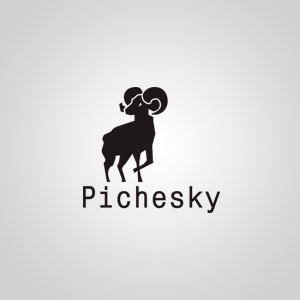 Подробная информация о компании Pichesky
