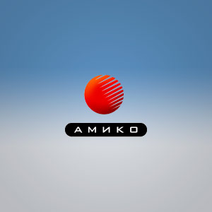 Подробная информация о компании Амико