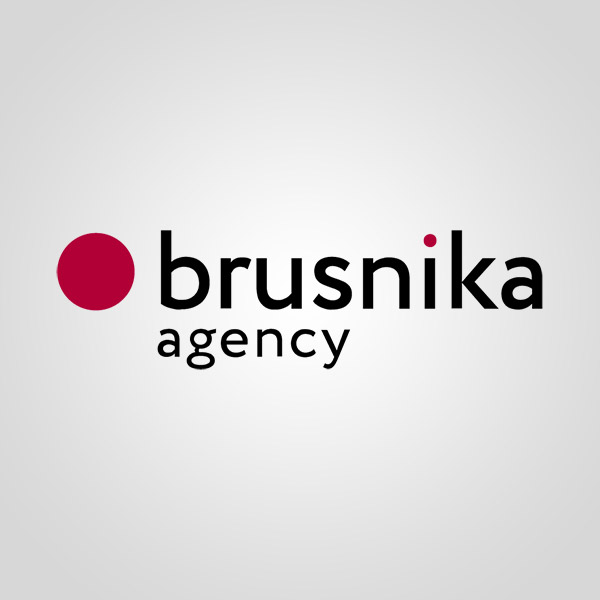 Подробная информация о компании Brusnika