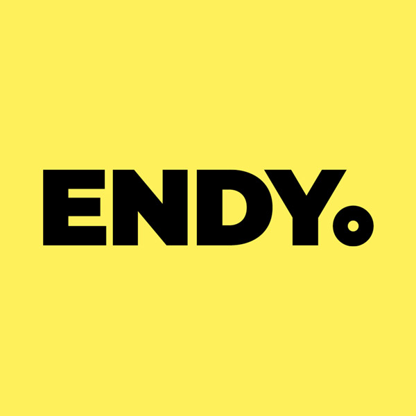 Подробная информация о компании ENDY