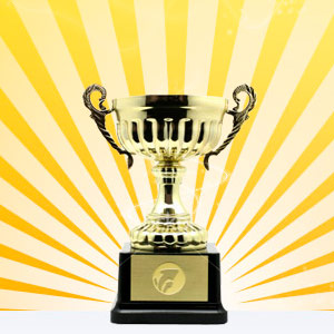 ������� SEO-�������� ������ � 2011 ����