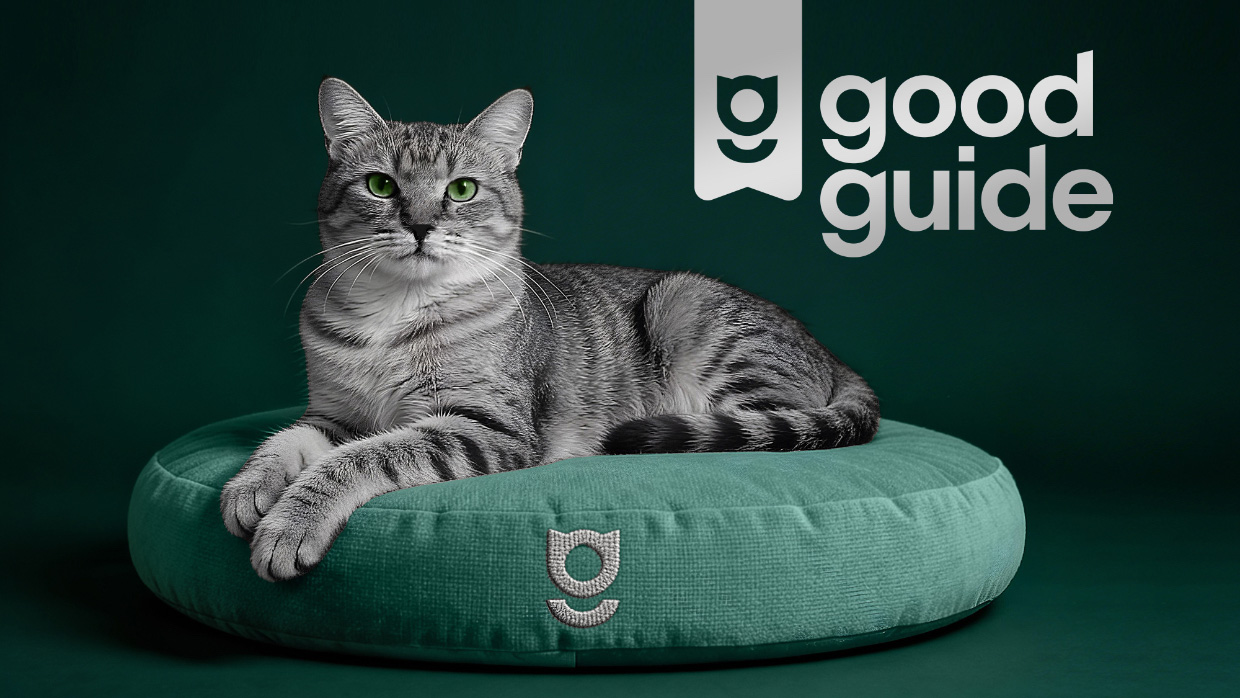 ���������� ������ ������ ������ ��� �������� Petfood