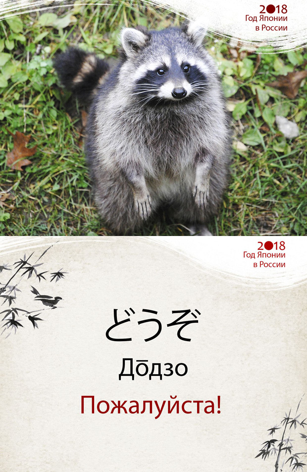 ����������� � ���������� �����