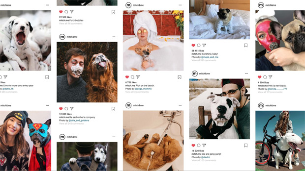 Jekyll & Hyde - ��������, ������������ � ��������