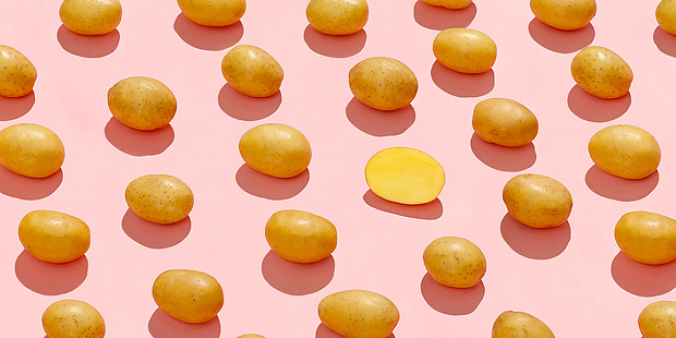 Choice - ��������, ������������ � ��������